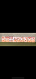 Photo boards 24” X 36”